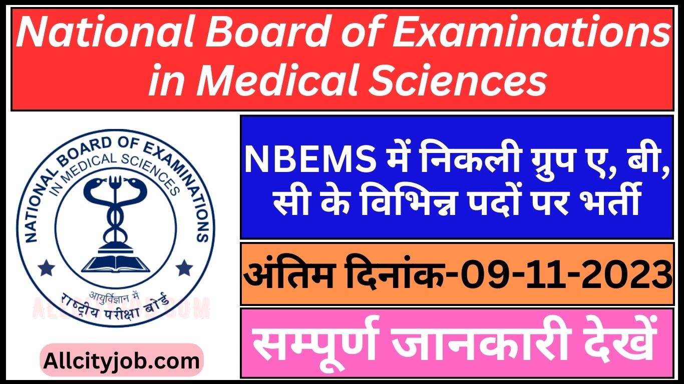 NBEMS Recruitment Form 2023 - All City Job