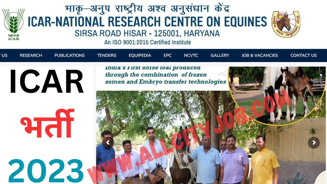 ICAR HISAR Young Professionals I (Agriculture) Recruitment 2023