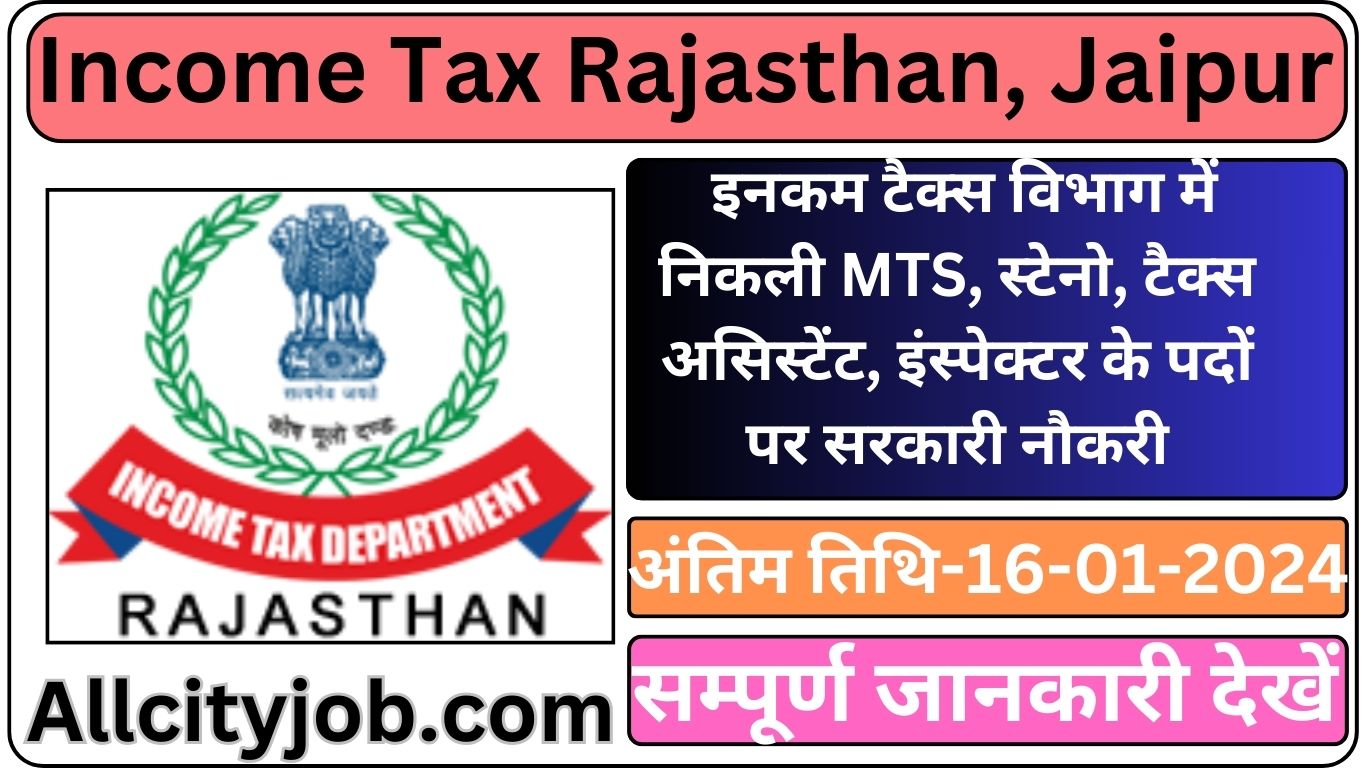 income tax assessment form 2023 24 pdf rajasthan