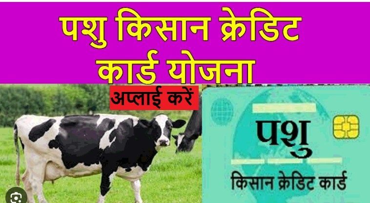 पशुधन किसान क्रेडिट कार्ड योजना 2024
