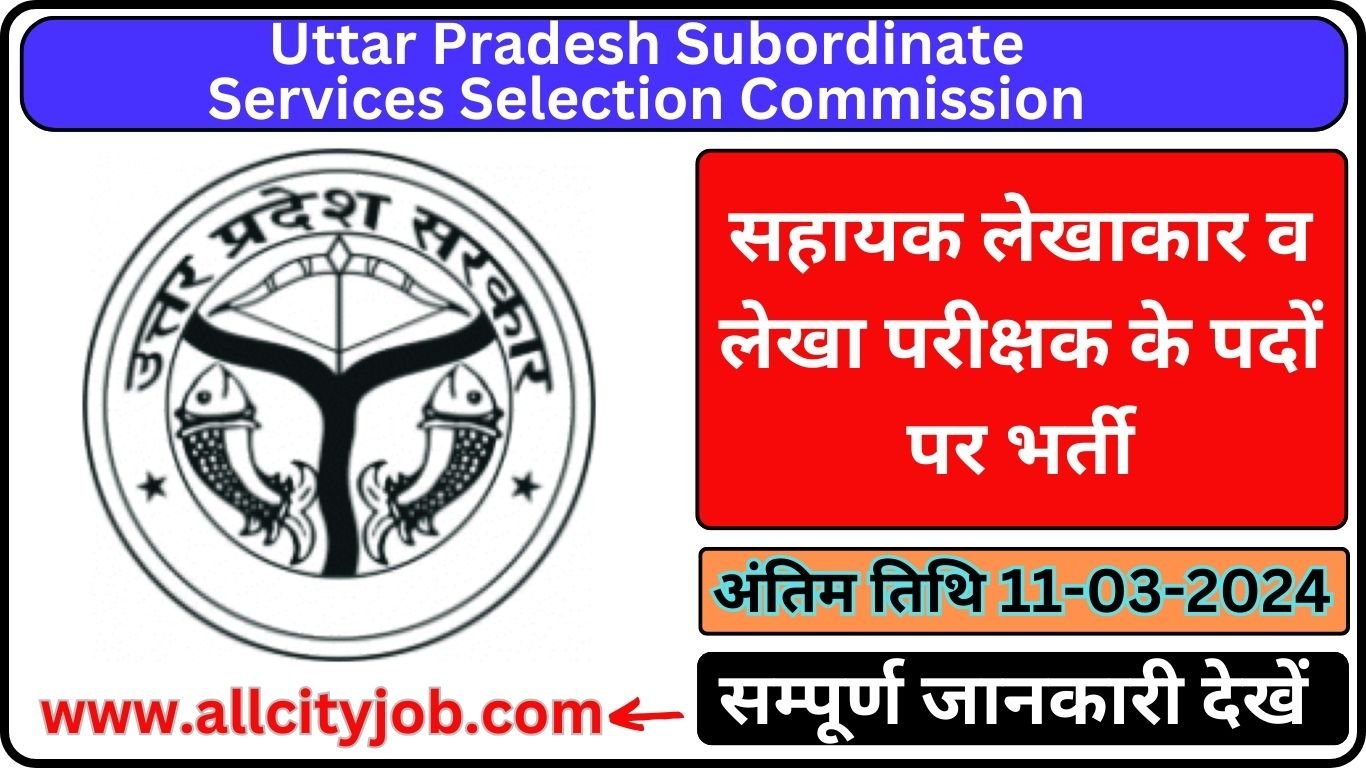 UPSSSC Auditor Recruitment Form 2024