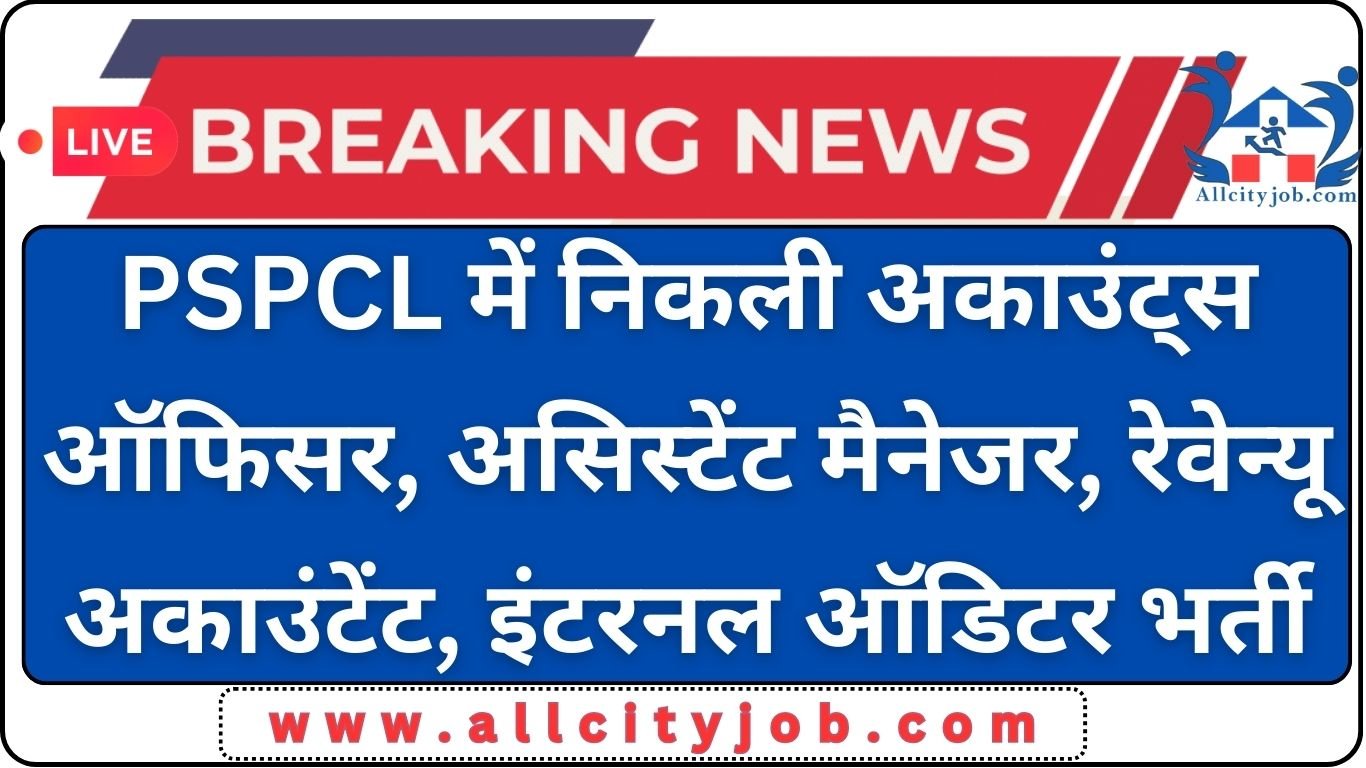 PSPCL Accounts Officer, Revenue Accountant Form 2024