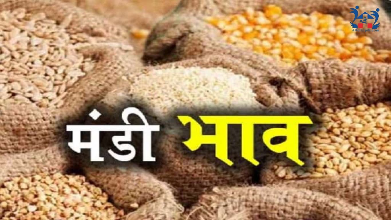 Mandi Bhav News