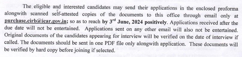 ICAR CIRB Hisar SRF, RA,Young Professional II Recruitment 2024a