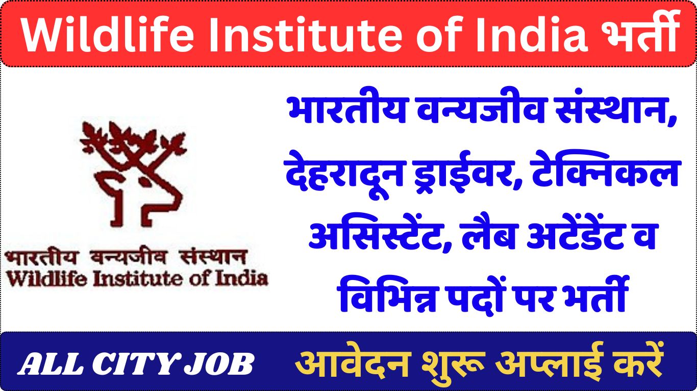 Wildlife Institute of India, Dehradun Job Notification 2024