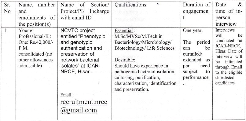 ICAR-National Research Centre on Equines, Hisar Young Professional-II Recruitment 2025